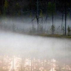 ,Escort calm background music (FREE DOWNLOAD)