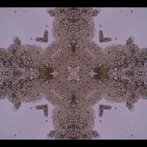 Quantum Sonics - Alex Wolfenden - 11th December 2021