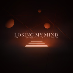 Losing My Mind (feat. Ardina)