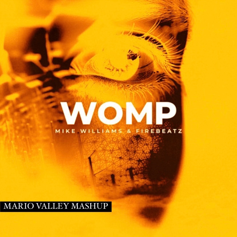 Firebeatz, Mike Williams – Womp vs. More Than You Know (Mario Valley Mashup) [Pitched]