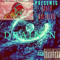 GUATO MOLINERO DRAININ