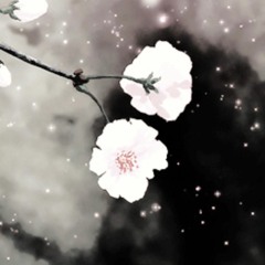 CHERRY TREE (ROUGH DRAFT) (Prod. By Mist3r)