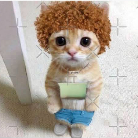 Ice Spice – Think U The Shit (Daly Remix)