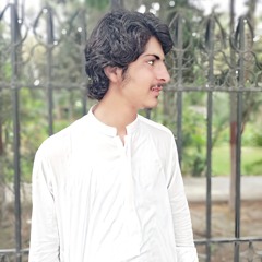 Ady_Qurban_Ady_Qurban _mir Ahmed Baloch song🇩🇯 _artist by Shaji Mubashir 🇩🇯