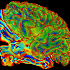 DEMO / ((sensoryInformationHistory + (cognitiveProcessing + emotionalResponse)) += loadedIntuition) == subconsciousBehavioralTendencies // ?
