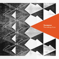 Snowgoose - The Making of You