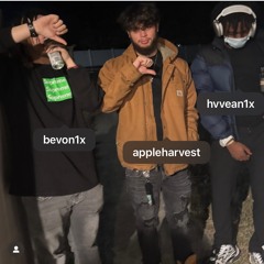 Smoke prod apple harvest & hvvean