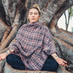 Ultravision 2022 Organic house