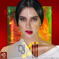 Dj-Mili-Milix-1