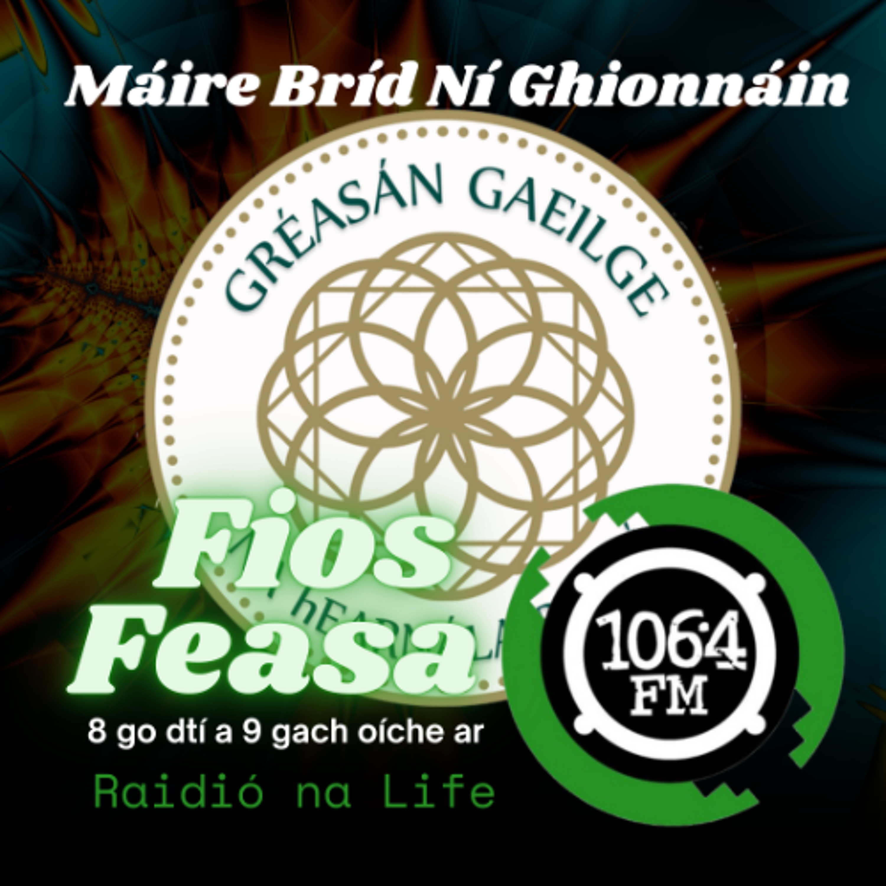 Máire Bríd Ní Ghionnáin - Gréasán Gaeilge na hEarnála Poiblí episode artwork