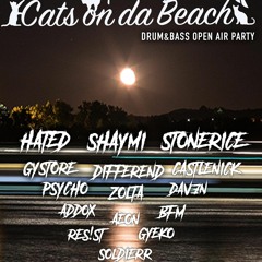 CATS ON THE BEACH .23.7.2022