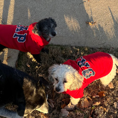 My 2 Sons (Craven & Teddie)