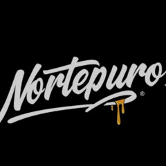 NORTE PURO