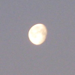 If We Try his Ones... Insomniac