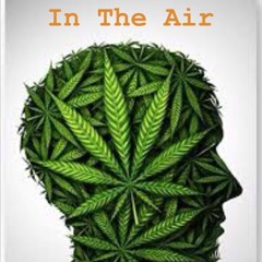 In The Air- Das Boots & 1AU