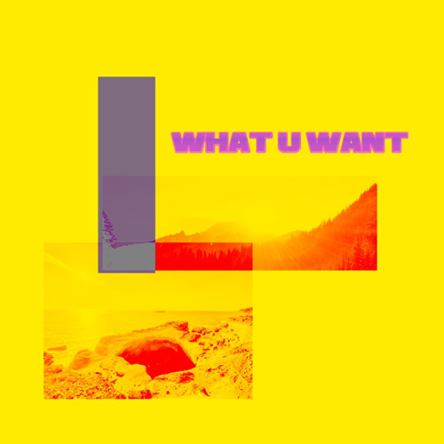 WHAT U WANT (ft. NOBODYSNOTHING, zak, Psych)