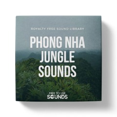 Nature Sounds | Rainforest Sounds Phong Nha | Sound Compilation
