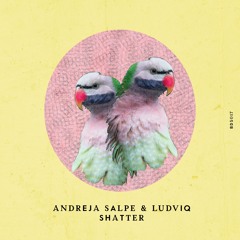 BDS0017 - Andreja Salpe & Ludviq - Shatter (Remixes by Ravintsara & Teniente Castillo)