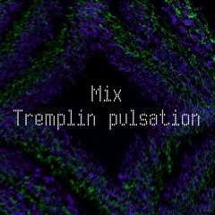 mix tremplin pulsation 2025