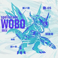@WOBO 04.17.2025 " Special Throwback"