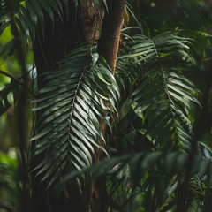 TROPHY - [off thx grid]