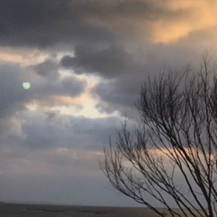 King&Prince ツキヨミ (cover)