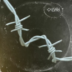 Barb Wire