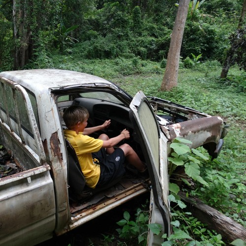 Oerwoud (reforestation/deforestation)