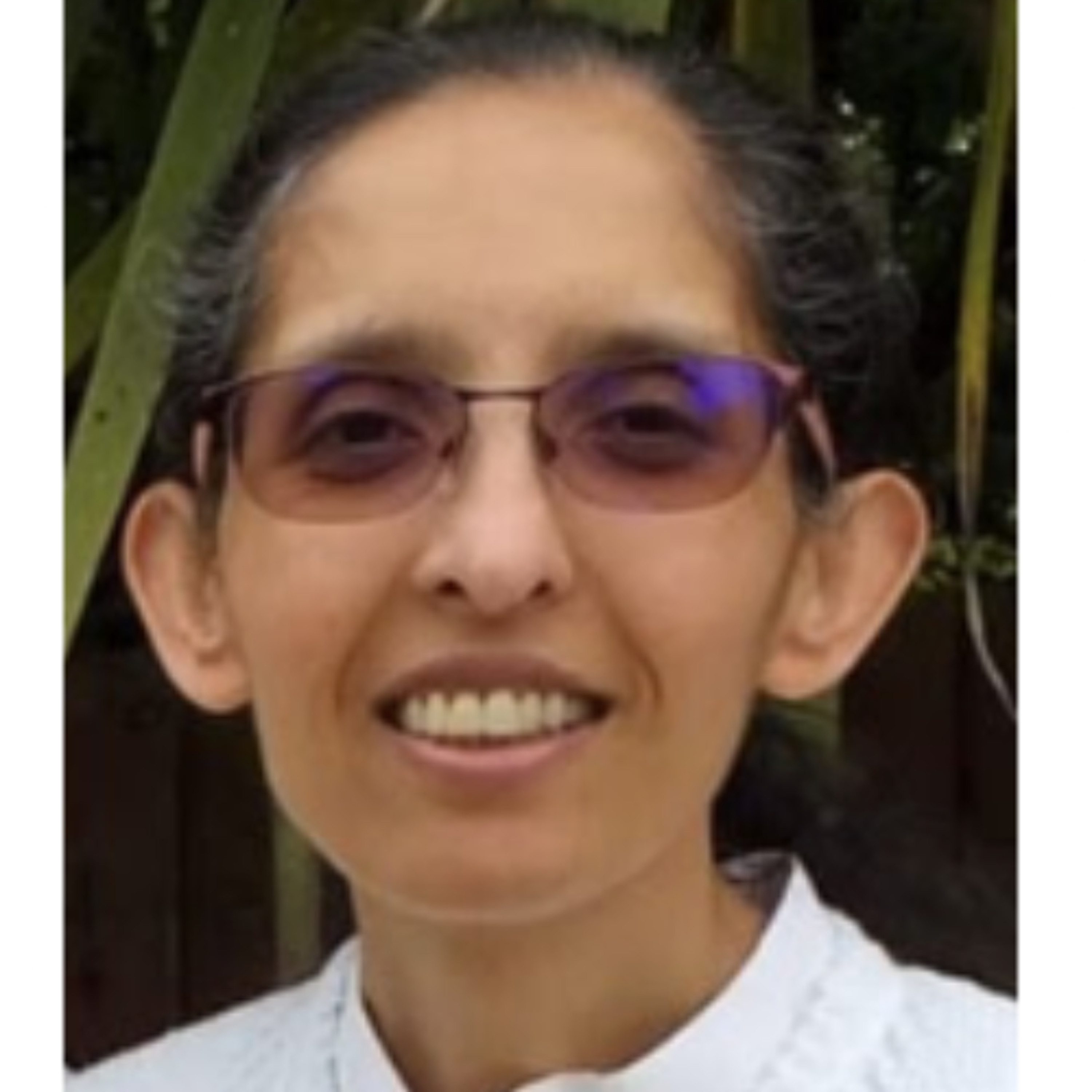 Inner Resilience In Times of Change - Alka Patel - Tuesday 10th February 2026 - Stanmore episode artwork