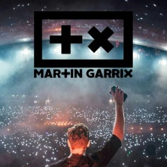 Martin Garrix Tribute