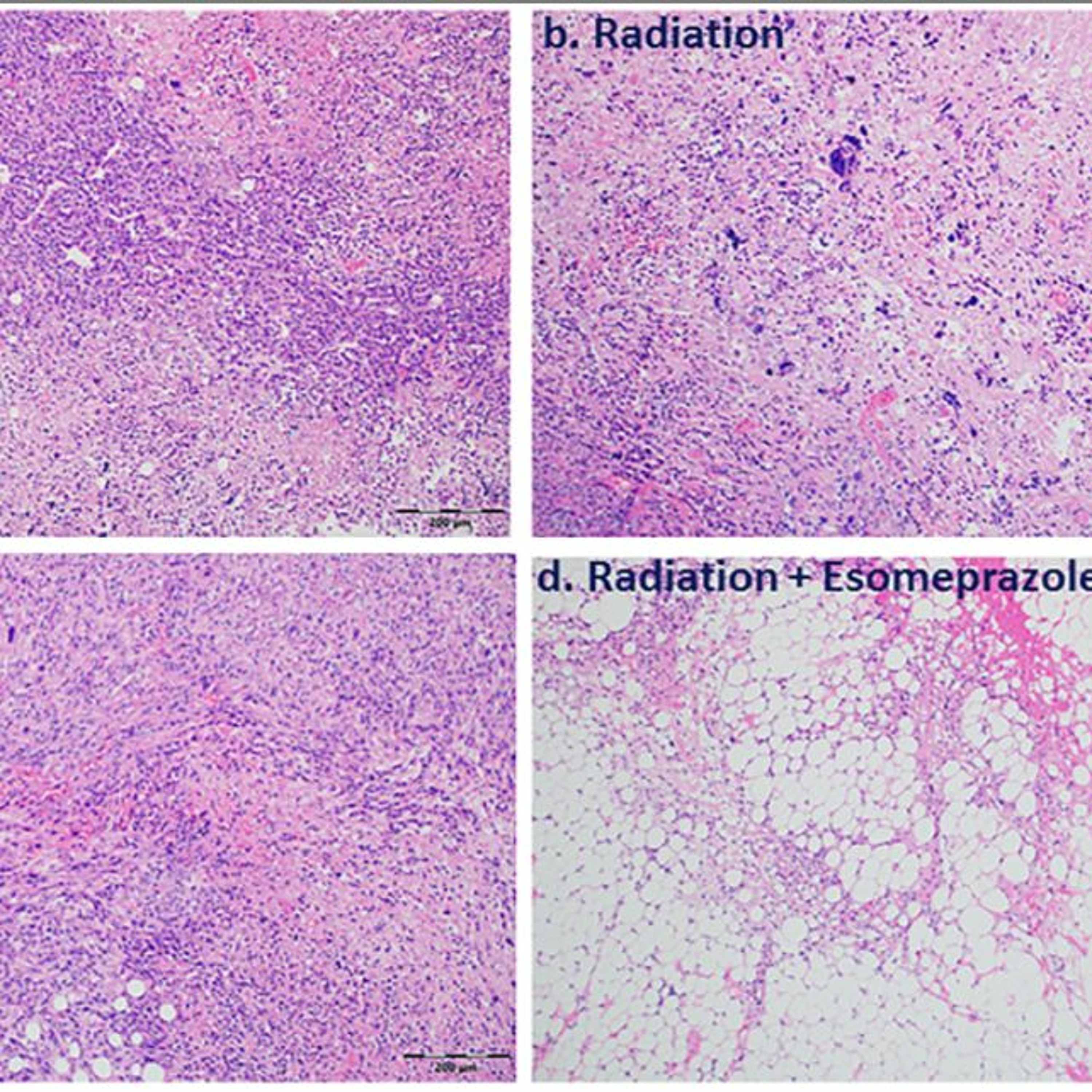 Oncotarget