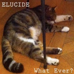 What Ever? (no guitar was abused during the recording of this song!)