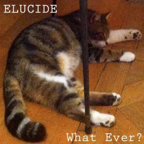 What Ever? (no guitar was abused during the recording of this song!)