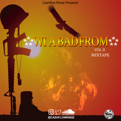 WI A BAD FROM VOL 2 MIXTAPE BY CASHFLOW RINSE