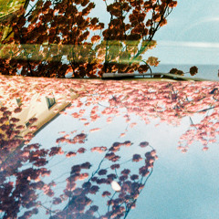 Dotlights - Pleasures