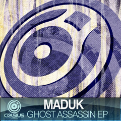 Ghost Assassin (Original Mix)
