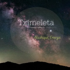 Tximeleta Live @Energie // Akashique  13.12.2020
