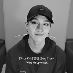 [Stray Kids] 방찬 (Bang Chan) –Wake Me Up (cover)
