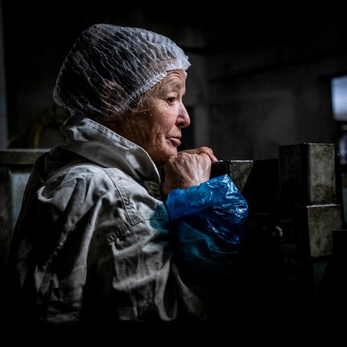 1 On le fait dans les meilleures conditions possibles, tant vis-à-vis de l'animal que des humains.