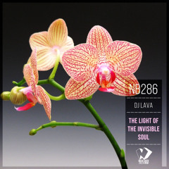 DJ Lava - The Light of the Invisible Soul (Original Mix)