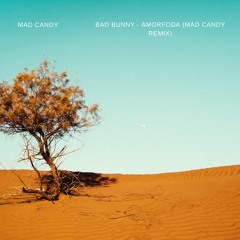 Bad Bunny - Amorfoda (Charly Zoo Remix)