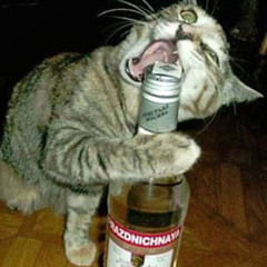 SEE NO SOUL (prod. @djfrogprod & @amir.pr0d)