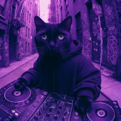 SCREWED - Ludacris - Ludaversal Intro Remix - Prod. B a g C a t