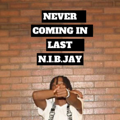 TheReal3z-NIBJAY