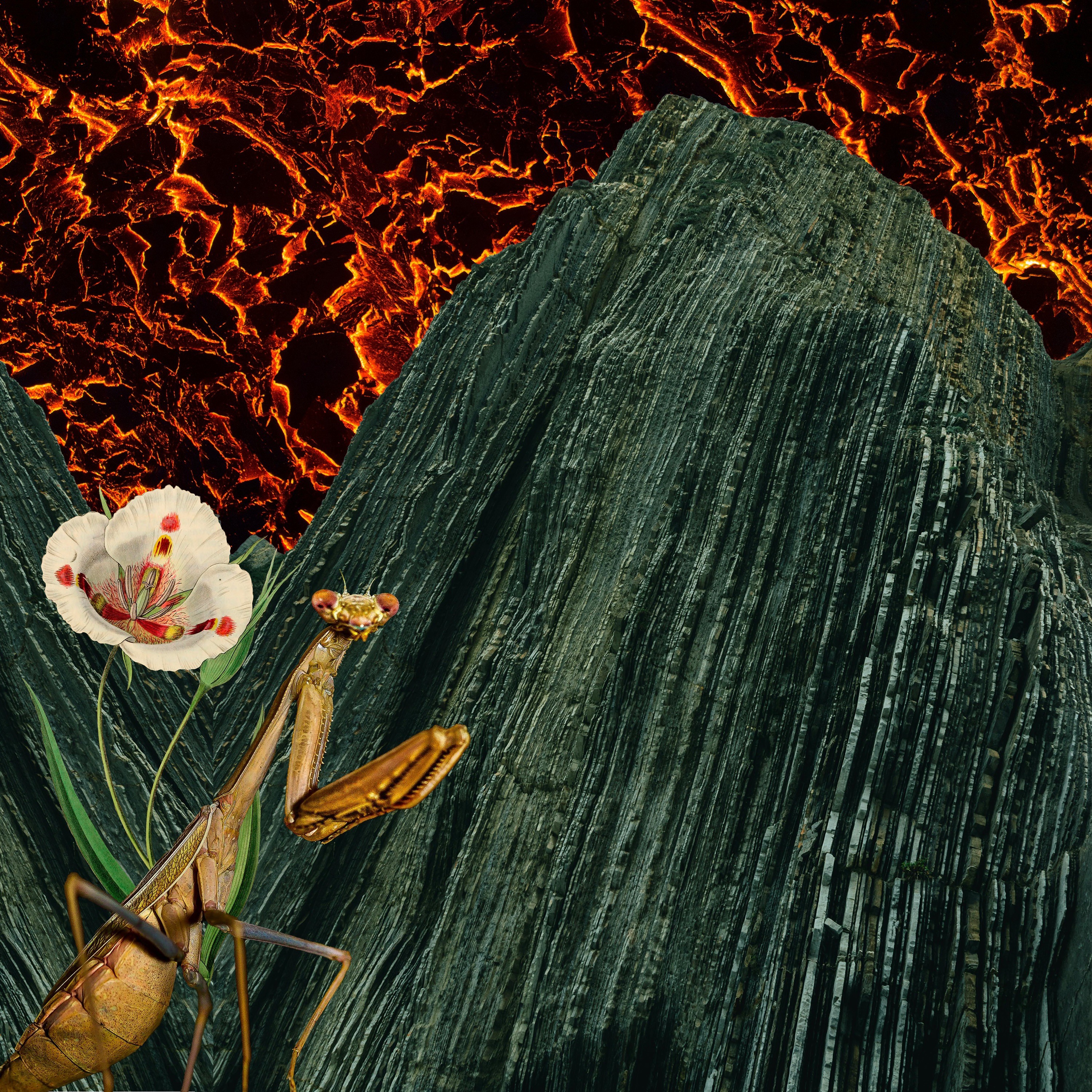 PREMIERE: A L V S M - Stone Island [Kusiya Records] episode artwork