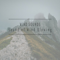 Wind on Your Skin