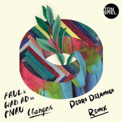 Pnau, Faul & Wad - Changes (Pedro Delamigo Remix)