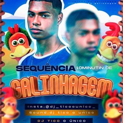 SEQUENCIA 10 MINUTINHO DE GALINHAGEM (DJTICOOUNICO)BEAT DA GALINHA