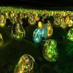 Review Special Price Skip The Line Teamlab Planets Tokyo Admission Ticket