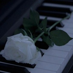 những lời hứa bỏ quên / vũ (lofi ver cheris)
